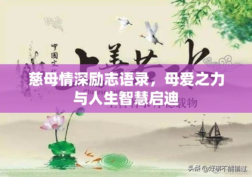 慈母情深励志语录，母爱之力与人生智慧启迪