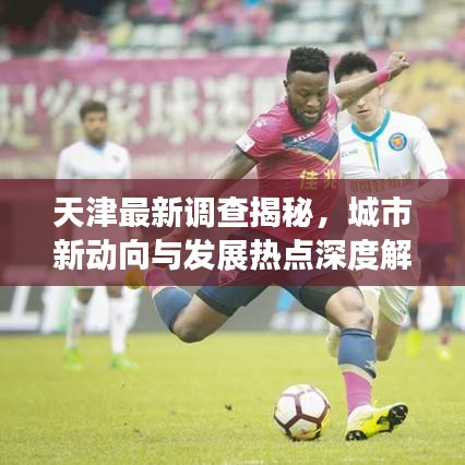 天津最新调查揭秘，城市新动向与发展热点深度解析