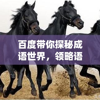 百度带你探秘成语世界，领略语言文化的独特魅力