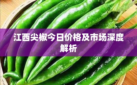 江西尖椒今日价格及市场深度解析