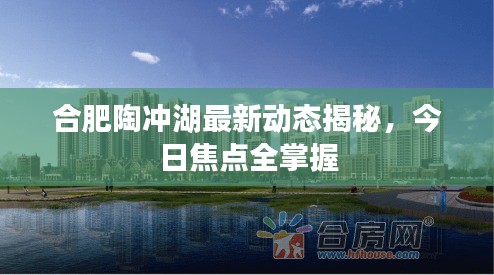 合肥陶冲湖最新动态揭秘，今日焦点全掌握