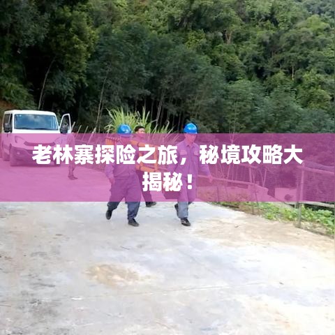 老林寨探险之旅，秘境攻略大揭秘！