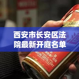 西安市长安区法院最新开庭名单全解析