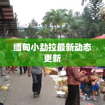 缅甸小勐拉最新动态更新