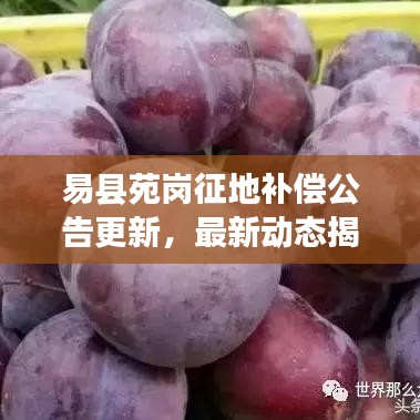 易县苑岗征地补偿公告更新，最新动态揭秘补偿细节