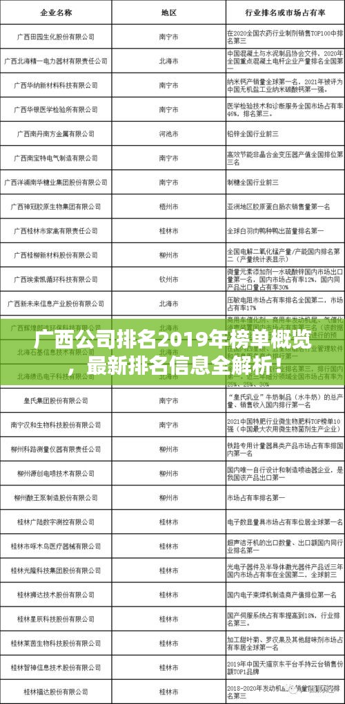 广西公司排名2019年榜单概览，最新排名信息全解析！