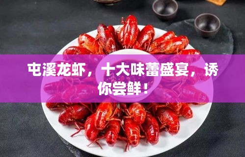 屯溪龙虾，十大味蕾盛宴，诱你尝鲜！