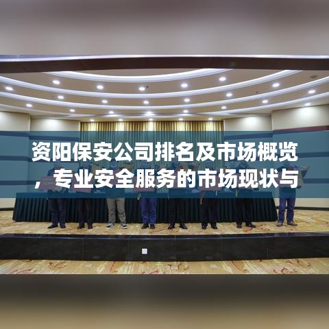 资阳保安公司排名及市场概览，专业安全服务的市场现状与展望