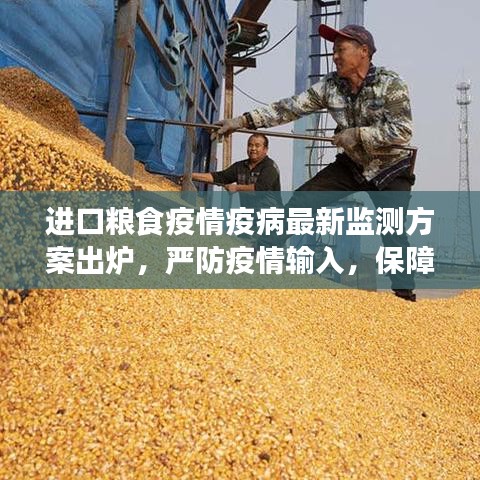 进口粮食疫情疫病最新监测方案出炉，严防疫情输入，保障粮食安全