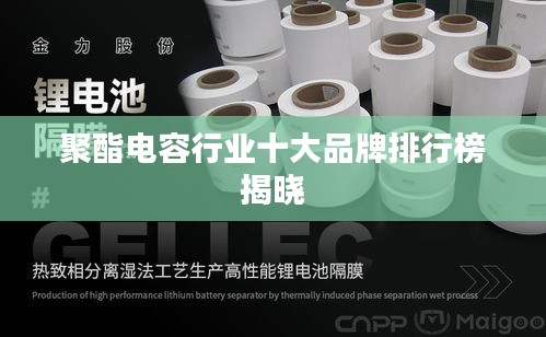 聚酯电容行业十大品牌排行榜揭晓