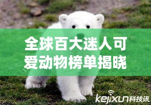 龙马精神 第2页