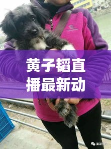 黄子韬直播最新动态揭秘，今日消息一网打尽！