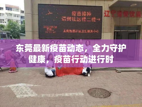 东莞最新疫苗动态，全力守护健康，疫苗行动进行时
