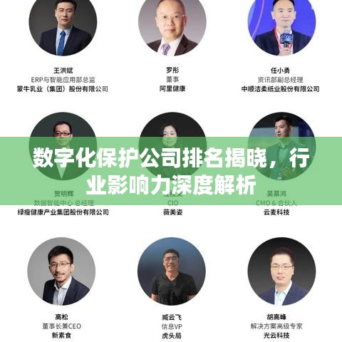 数字化保护公司排名揭晓，行业影响力深度解析