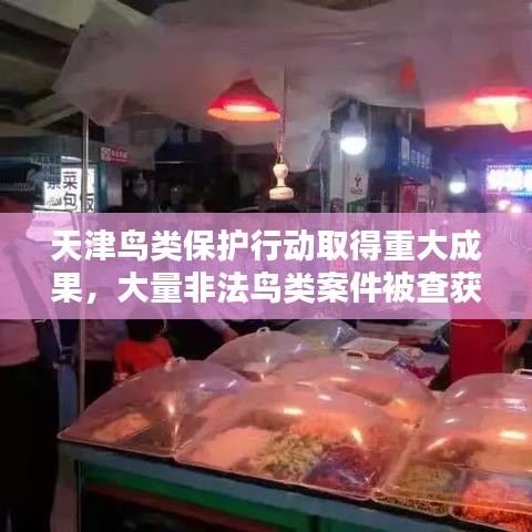 天津鸟类保护行动取得重大成果，大量非法鸟类案件被查获