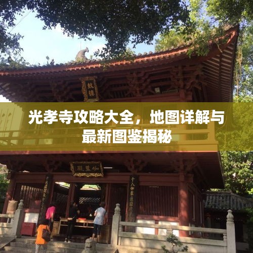 怀真抱素 第2页