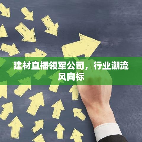 建材直播领军公司，行业潮流风向标