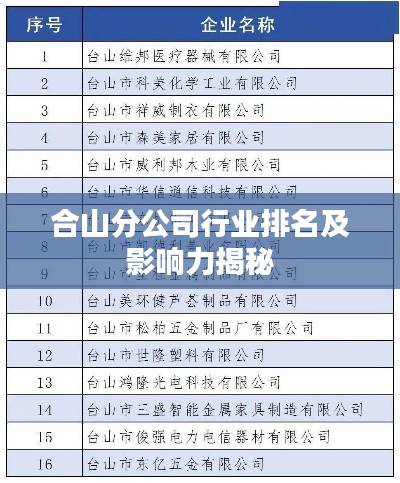 合山分公司行业排名及影响力揭秘