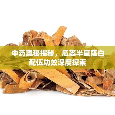 中药奥秘揭秘，瓜蒌半夏薤白配伍功效深度探索