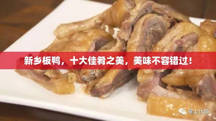 新乡板鸭，十大佳肴之美，美味不容错过！