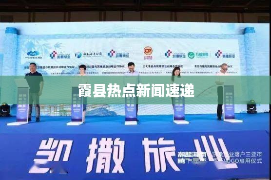 霞县热点新闻速递