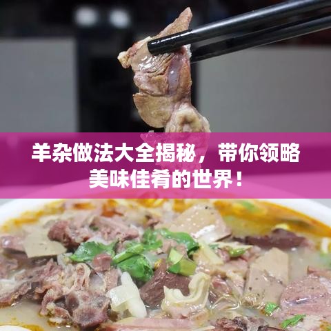 羊杂做法大全揭秘，带你领略美味佳肴的世界！