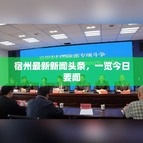 宿州最新新闻头条，一览今日要闻