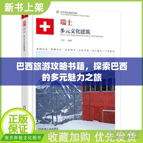 巴西旅游攻略书籍，探索巴西的多元魅力之旅