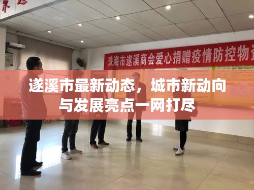 遂溪市最新动态，城市新动向与发展亮点一网打尽