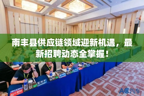 南丰县供应链领域迎新机遇，最新招聘动态全掌握！