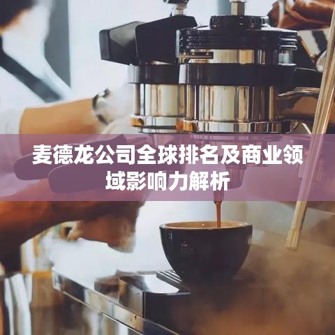 麦德龙公司全球排名及商业领域影响力解析