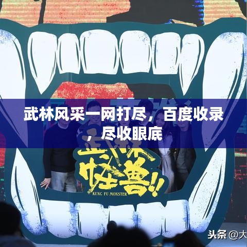 武林风采一网打尽，百度收录，尽收眼底