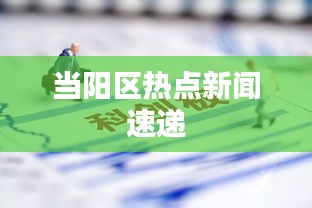 当阳区热点新闻速递