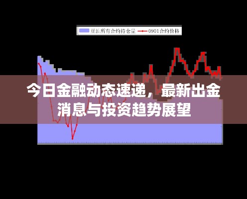 今日金融动态速递，最新出金消息与投资趋势展望