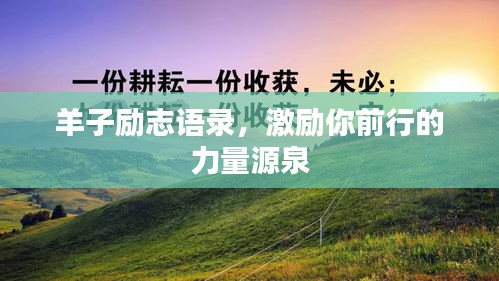 羊子励志语录，激励你前行的力量源泉