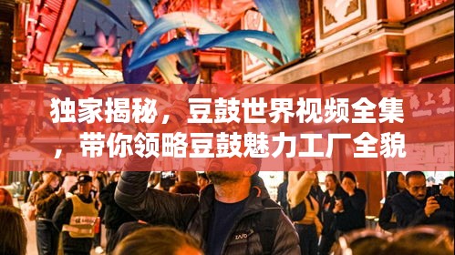 独家揭秘，豆鼓世界视频全集，带你领略豆鼓魅力工厂全貌！