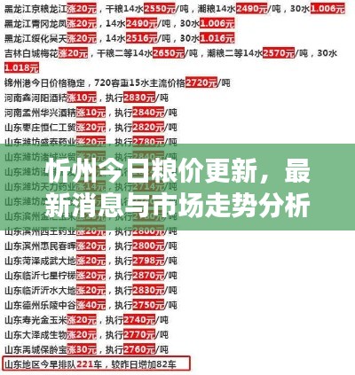忻州今日粮价更新，最新消息与市场走势分析