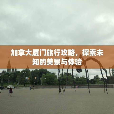 加拿大厦门旅行攻略，探索未知的美景与体验