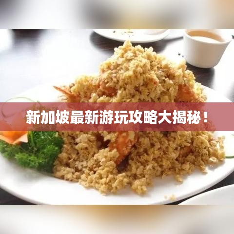 新加坡最新游玩攻略大揭秘！