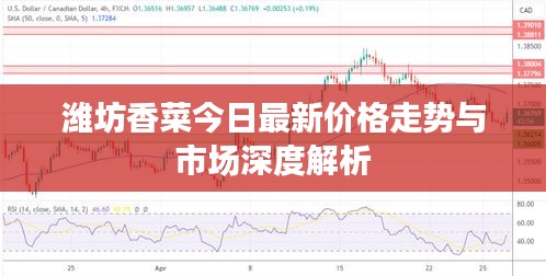 潍坊香菜今日最新价格走势与市场深度解析