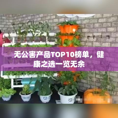 无公害产品TOP10榜单，健康之选一览无余