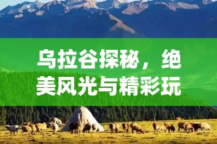 乌拉谷探秘，绝美风光与精彩玩法一网打尽！旅游攻略大揭秘