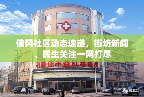 佛冈社区动态速递，街坊新闻、民生关注一网打尽