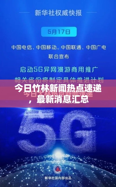 今日竹林新闻热点速递，最新消息汇总
