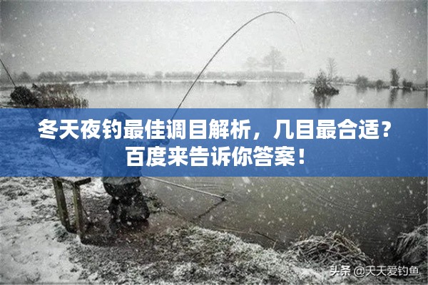 冬天夜钓最佳调目解析，几目最合适？百度来告诉你答案！