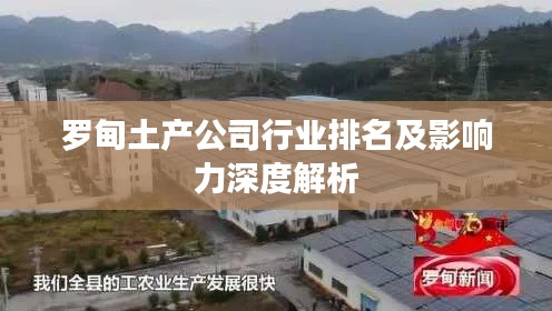 罗甸土产公司行业排名及影响力深度解析