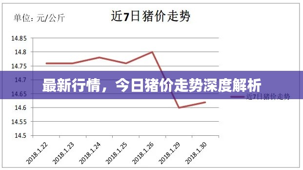最新行情，今日猪价走势深度解析
