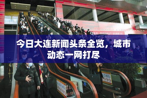 今日大连新闻头条全览，城市动态一网打尽
