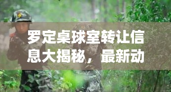 罗定桌球室转让信息大揭秘，最新动态一网打尽