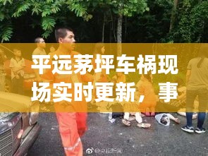 平远茅坪车祸现场实时更新，事故最新进展及现场情况揭秘